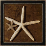Estrellas de mar Láminas por Caroline Kelly
