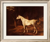 Moteado del bosque Láminas por Jacques-Laurent Agasse Moteado del bosque Láminas por Jacques-Laurent Agasse