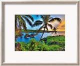 Where Da Coconuts Grow Plakater av Randy Jay Braun Where Da Coconuts Grow Plakater av Randy Jay Braun