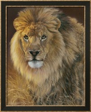 Power and Presence: African Lion Prints by Joni Johnson-godsy
