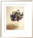 Cut Flowers III Posters by Vincenzo Ferrato