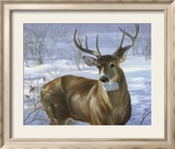 Through My Window: Whitetail Deer Prints by Joni Johnson-godsy