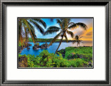 Where Da Coconuts Grow Plakater av Randy Jay Braun Where Da Coconuts Grow Plakater av Randy Jay Braun