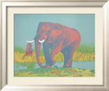 Elefante III Gerahmter Druck (limitierte Auflage) von Antonio Segui