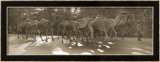 Camels and Man Pósters por Nelson Figueredo Camels and Man Pósters por Nelson Figueredo