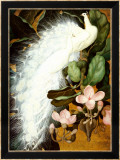 White Peacocks Plakat av Jessie Arms Botke White Peacocks Plakat av Jessie Arms Botke