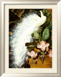 Paons blancs Poster par Jessie Arms Botke