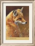 Curious: Red Fox Prints by Joni Johnson-godsy