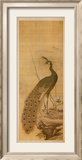 Peacock Posters by Yanagisawa Kien