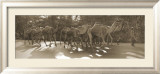 Camels and Man Pósters por Nelson Figueredo