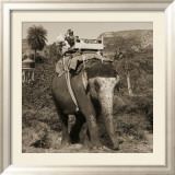 Man with Beard Riding Elephant Pósters por Nelson Figueredo