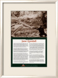 Women of Science - Jane Goodall Póster