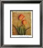Tulips Poster by Vincenzo Ferrato