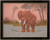 Elefante I Gerahmter Druck (limitierte Auflage) von Antonio Segui