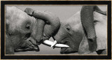 Elefante africano Pósters por Jean-Michel Labat Elefante africano Pósters por Jean-Michel Labat