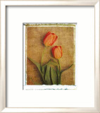 Tulips Posters by Vincenzo Ferrato
