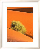 Dune et Herbe Plakat av Bilderteam