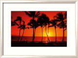 Hawaiian Sunset Posters av Randy Jay Braun Hawaiian Sunset Posters av Randy Jay Braun