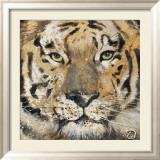 Tiger Poster von Volynets 
