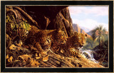 Leopardos centinelas Láminas por Craig Bone