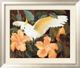 Cockatoo and Hibiscus Plakater av Jessie Arms Botke Cockatoo and Hibiscus Plakater av Jessie Arms Botke