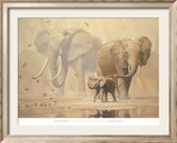 Elefantes africanos y palomas de Namaqua Arte por Ian Coleman
