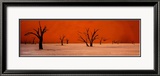 Namibie Plakat av Philippe Bourseiller Namibie Plakat av Philippe Bourseiller