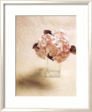 Cut Flowers I Print by Vincenzo Ferrato