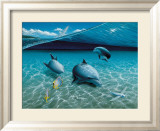 The Chase, Maui Dolphins Posters par Mark Mackay