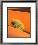 Dune et Herbe Poster av Bilderteam