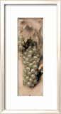 Pinot Blanc Posters by Alan Blaustein