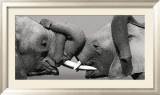 Elefante africano Póster por Jean-Michel Labat Elefante africano Póster por Jean-Michel Labat