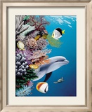 Dolphin's Reef Estampe encadrée par Mark Mackay