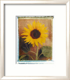 Sunflowers Prints by Vincenzo Ferrato