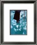 Air Bubbles in the Frozen River Zanskar Prints by Olivier Föllmi