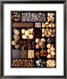 Seeds Posters by Corynne Ryman