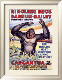 Ringling Brothers: Gargantua the Great Lámina giclée enmarcada