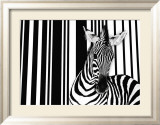 Zebra I Pósters por Tim Flach