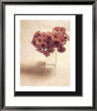 Cut Flowers IV Art by Vincenzo Ferrato