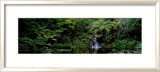 Ayrlies: Auckland (Nueva Zelanda) Arte por Alain Le Toquin