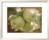 Vintage Apples III Posters par Jason Johnson