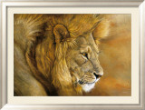 Lion du Serengeti Pósters por Danielle Beck Lion du Serengeti Pósters por Danielle Beck
