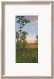 Tropische Ruhe II Poster von J. D. Davidson