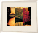 Point of View 1 Affiches par Neil Thomas