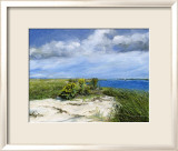 Hemlock Cove Affiches par Doug Zider