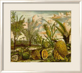 Tropical Fruits I Posters av Barlow