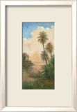 Sérénité tropicale I Affiches par J. D. Davidson