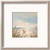 Beach Cottage Prints by Paulo Romero
