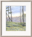 Tranquil Horizon II Poster von Virginia A. Roper