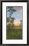 Tropische Ruhe II Kunstdrucke von J. D. Davidson